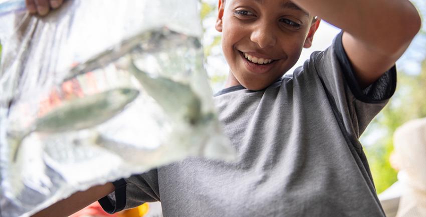 Boy holds plastic bag filled with water and two salmon smolts to release into a creek