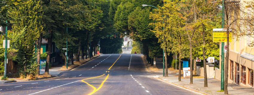Tree lined street