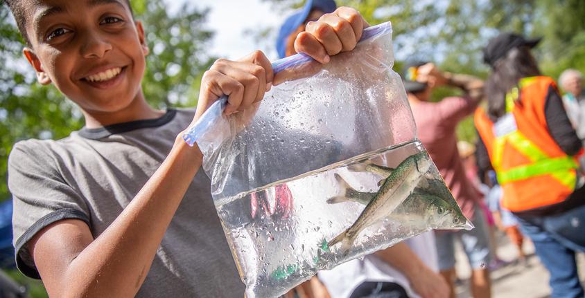 Boy hold plastic bag filled with water and small salmon fry inside