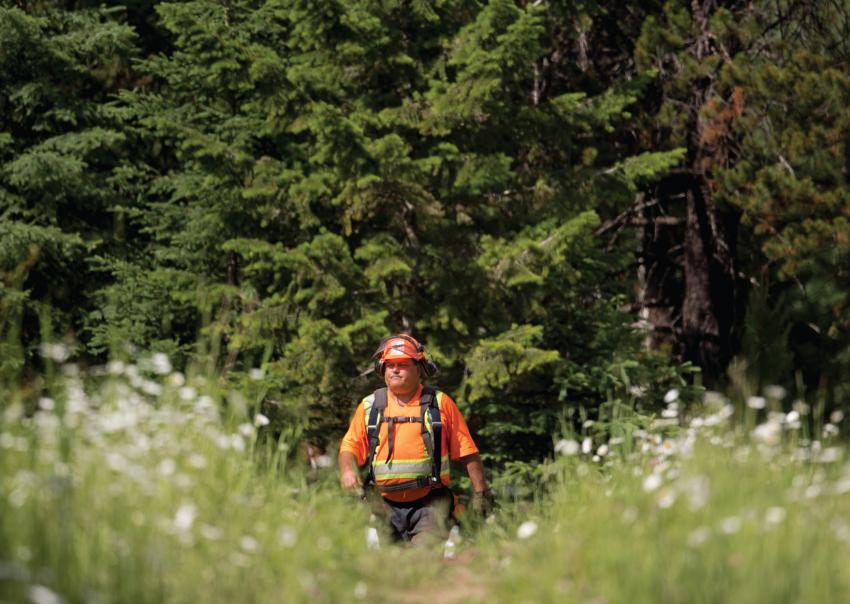 Worker with Duz Cho walks through a field doing preliminary survey work