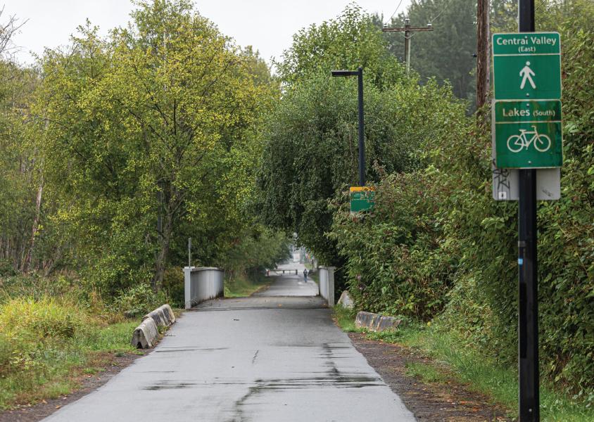 multi-use paved pathway lined with trees