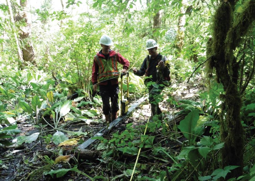 Two people walk through the forest surveying