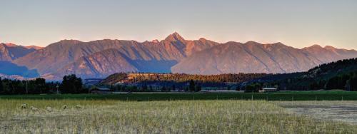 sunrise over Cranbrook